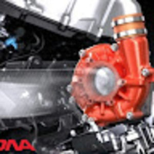 Meet your Posher, Gonzalez rico